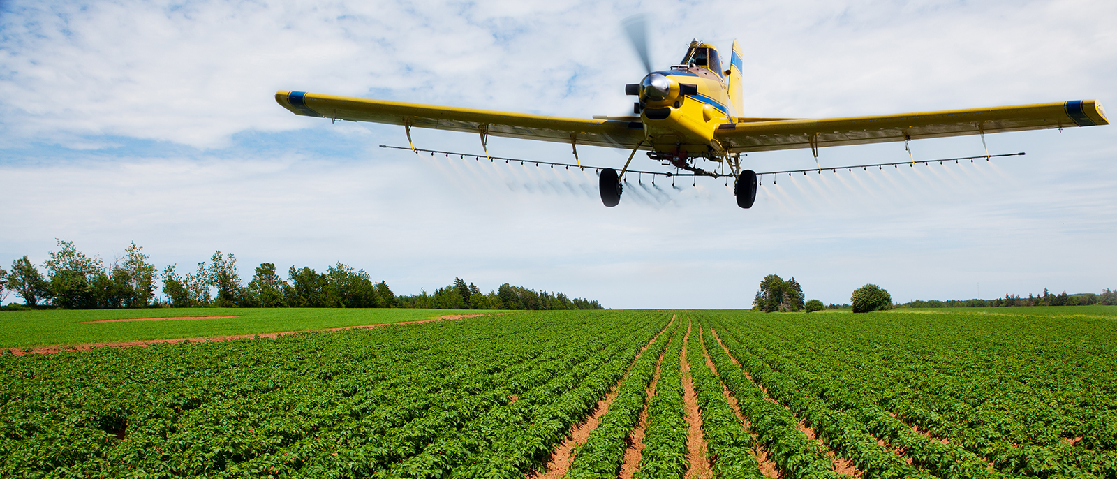 Crop Duster, Sold by Lane Aviation of Rosenberg, TX, Spraying a Potato Field
